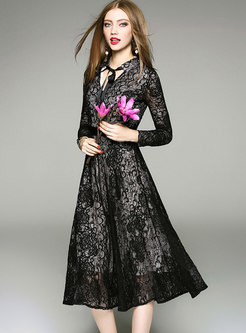 Black Long Sleeve V-neck Lace Dress