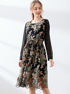 Long Sleeve Embroidered Mesh A Line Dress