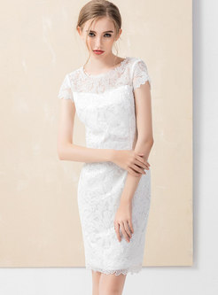 Solid Color Lace Patchwork Mesh Embroidered Sheath Dress