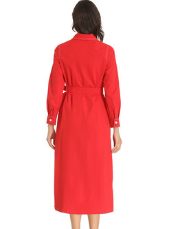 Lapel Long Sleeve Plus Size A Line Dress