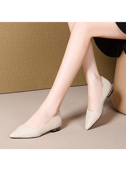 Pointed Toe Leather Shallow Flats
