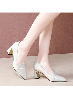 Pointed Toe Chunky Heel Spring/Fall Pumps