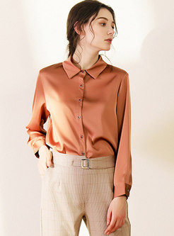 Solid Color Long Sleeve Work Blouse