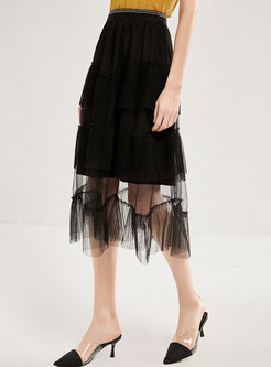 Black Mesh Transparent A Line Skirt