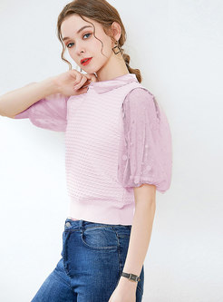 Lace Patchwork Lapel Puff Sleeve Knit Top