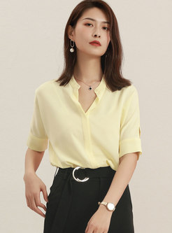 Stand Collar Short Sleeve Buttoned Blouse