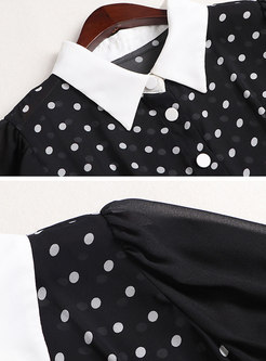 Polka Dot Lapel Button-front Skater Dress