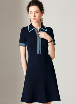 Color Block Polo Collar Knitted Skater Dress