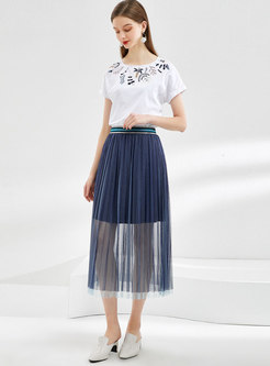 Mesh Elastic Waist Perspective Pleated Skirt