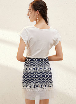 Brief V-neck Top & Embroidered Sheath Mini Skirt