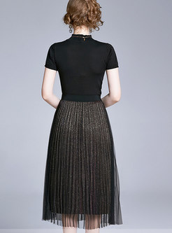 Stand Collar Knit Top & High Shine Pleated Skirt