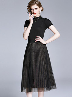 Stand Collar Knit Top & High Shine Pleated Skirt