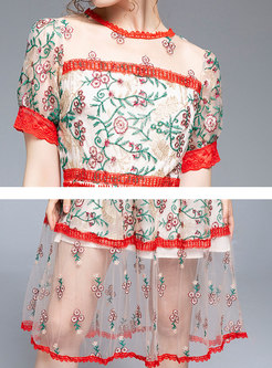 Sweet Embroidered Perspective Mesh Skater Dress