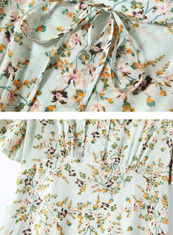 Short Sleeve Floral Silk Skater Dress