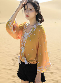 V-neck Pullover Embroidered Chiffon Blouse