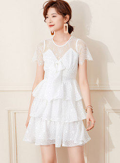 White Polka Dot Transparent Lace Mini Dress