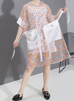 Hooded Transparent Polka Dot Print Shift Dress
