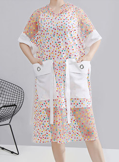 Hooded Transparent Polka Dot Print Shift Dress