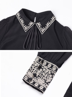 Lantern Sleeve Pullover Embroidered Blouse