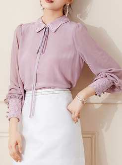 Lantern Sleeve Pullover Embroidered Blouse