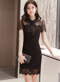 Black Transparent Lace Bodycon Mini Dress