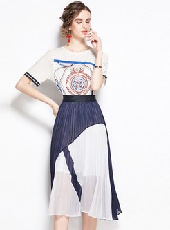 Print Pullover T-shirt & Pleated A Line Skirt