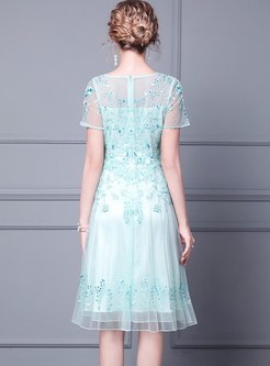 Transparent Mesh Embroidered Beaded Cocktail Dress
