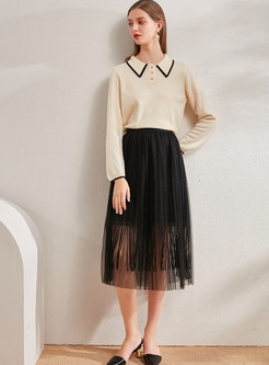 Elastic Waist Transparent Mesh Pleated Skirt