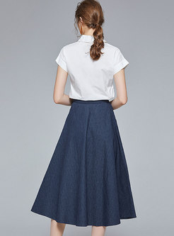 Short Sleeve Blouse & A Line Striped Skirt