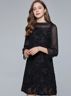 Black Transparent Long Sleeve Knee-length Dress