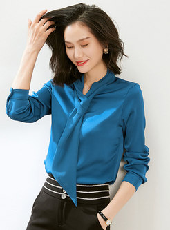 Long Sleeve Pullover Loose Blouse