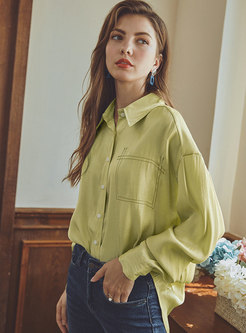 Turn Down Collar Single-breasted Blouse