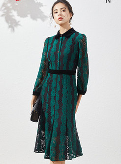 Turn Down Collar Lace Openwork A Line Dress