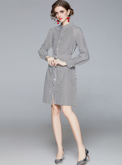 Long Sleeve Striped Belted A Line Dress