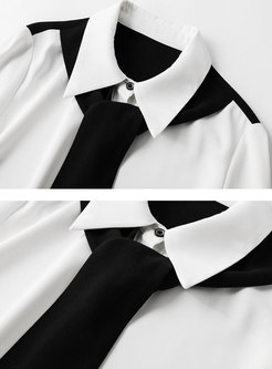 White Turn Down Collar Chiffon Shirt