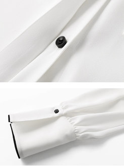 White Brief Long Sleeve Chiffon Shirt