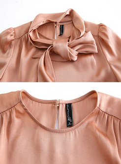 Long Sleeve Pullover Brief Blouse