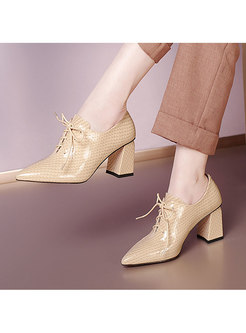 Pointed Toe Lace-up Chunky Heel Shoes
