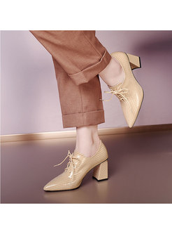 Pointed Toe Lace-up Chunky Heel Shoes