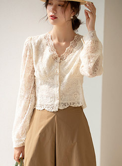 V-neck Single-breasted Lace Cropped Blouse
