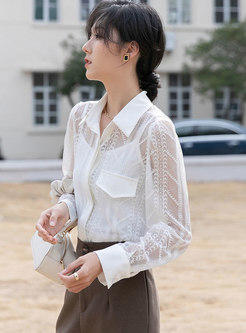 Transparent Openwork Lace Blouse With Camisole
