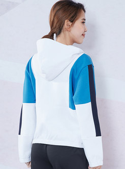 Hooded Color-blocked Long Sleeve Sport Jacket