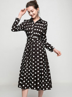 Long Sleeve Polka Dot A Line Midi Dress