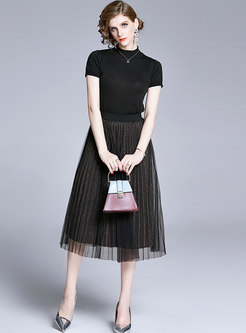 Stand Collar Knit Top & High Waisted Pleated Skirt