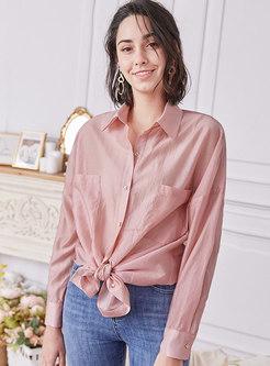 Solid Lapel Single-breasted Transparent Blouse