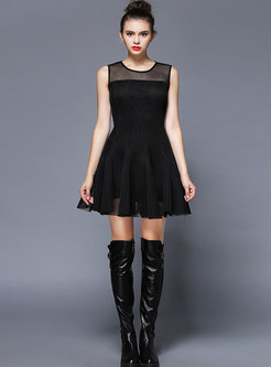 Black Sleeveless Transparent Mini Skater Dress