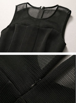 Black Sleeveless Transparent Mini Skater Dress