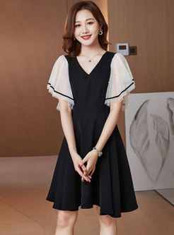 Black V-neck Ruffle Sleeve A Line Mini Dress