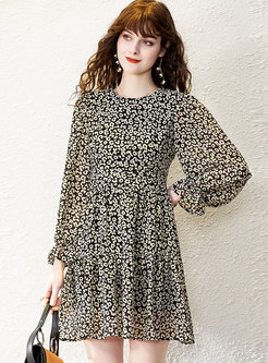 Long Sleeve Leopard Mini Skater Dress