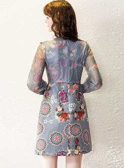 Long Sleeve Mesh Patchwork Print Mini Dress